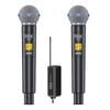 Micro Không Dây ISK SM58 2 Mic