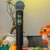 Micro Không Dây ISK SM58