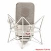 Neumann TLM 49 Micro Studio Cao Cấp Cho Nghệ Sĩ Chuyên Nghiệp