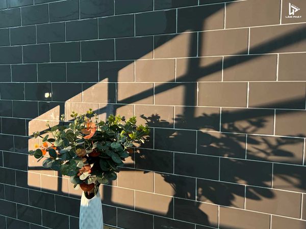 Optical Snoot YG 80 Đầu tạo hiệu ứng chụp ảnh chuyên nghiệp ngàm bowen