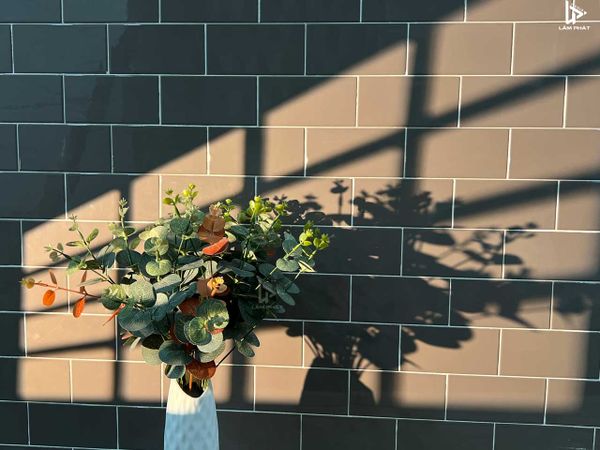 Optical Snoot YG 80 Đầu tạo hiệu ứng chụp ảnh chuyên nghiệp ngàm bowen