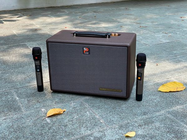 Loa Di Động Prosing W8-KOR