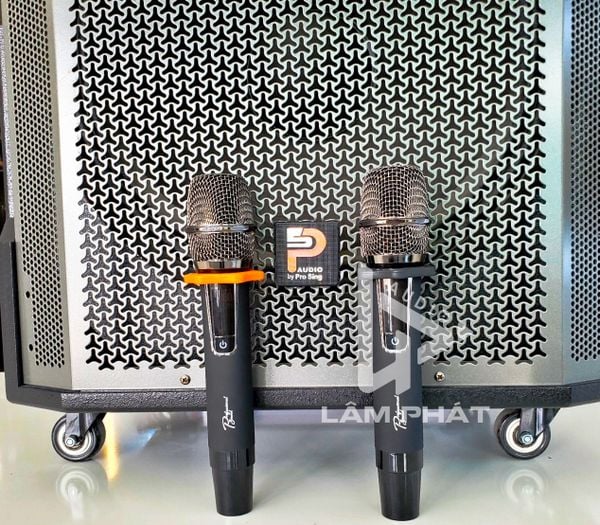 Loa Kéo Di Động Prosing W18C