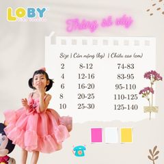 Váy xòe thiết kế độc quyền LOBY có hoa hồng cách điệu V006