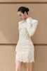Váy ren cổ bẻ tay dài