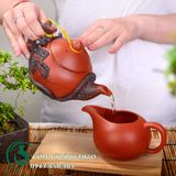  Tống trà tử sa Bát Tràng 