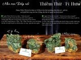  Tượng Thiềm Thừ - Tỳ hưu Kích hoạt Tài lộc Ban thờ Thần Tài CN 