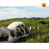 Lều Snow peak Living Shell Long Pro. Ivory, TP-660IV