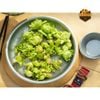 Đĩa đựng đồ ăn Snow Peak Party Plates , CS-330R