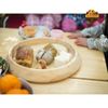 Đĩa đựng đồ ăn Snow Peak Party Plates , CS-330R