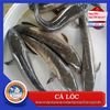 caloc