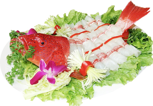  CÁ MÚ ĐỎ 