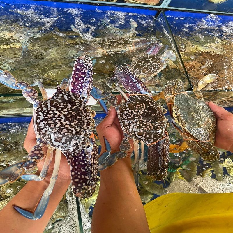  GHẸ XANH PHAN THIẾT LOẠI 1 