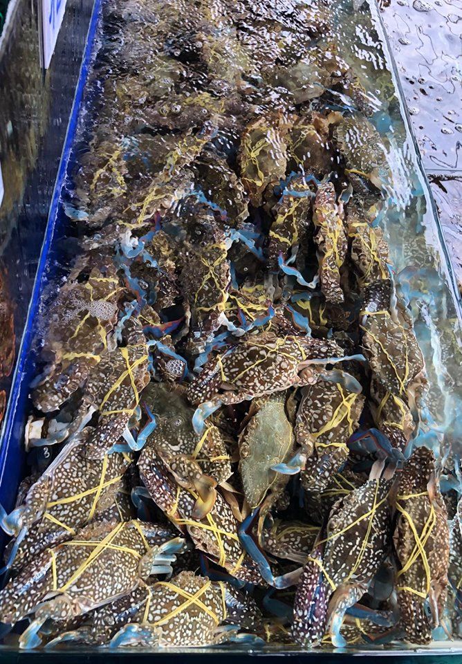  GHẸ XANH PHAN THIẾT LOẠI 1 