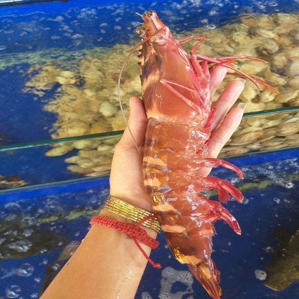  Tôm Sú Thiên Nhiên 