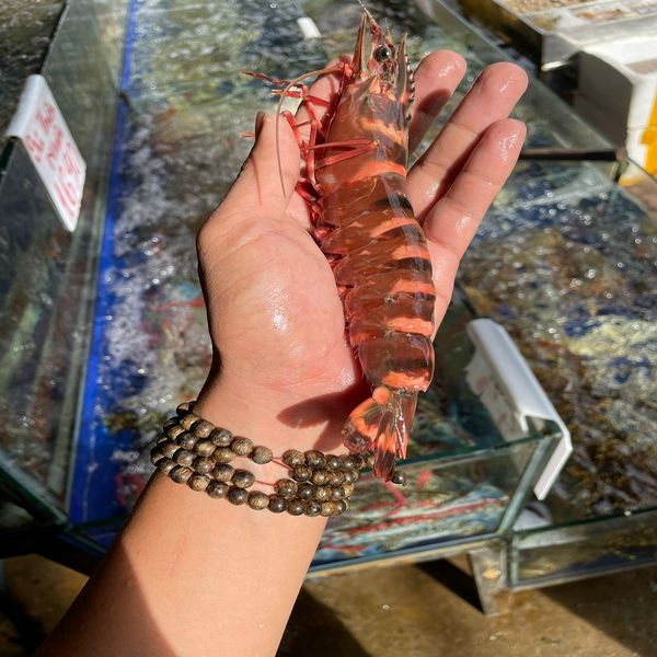  Tôm Sú Thiên Nhiên 