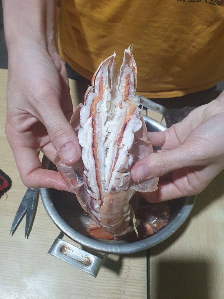  TÔM TÍT - BỀ BỀ 
