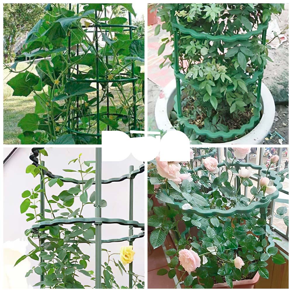 [Nhựa Tashuan] Giá đỡ dây leo TS-465