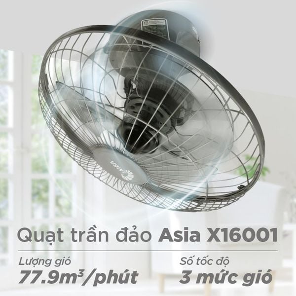 [Asia] Quạt trần đảo cơ X16001-XV0 Xám