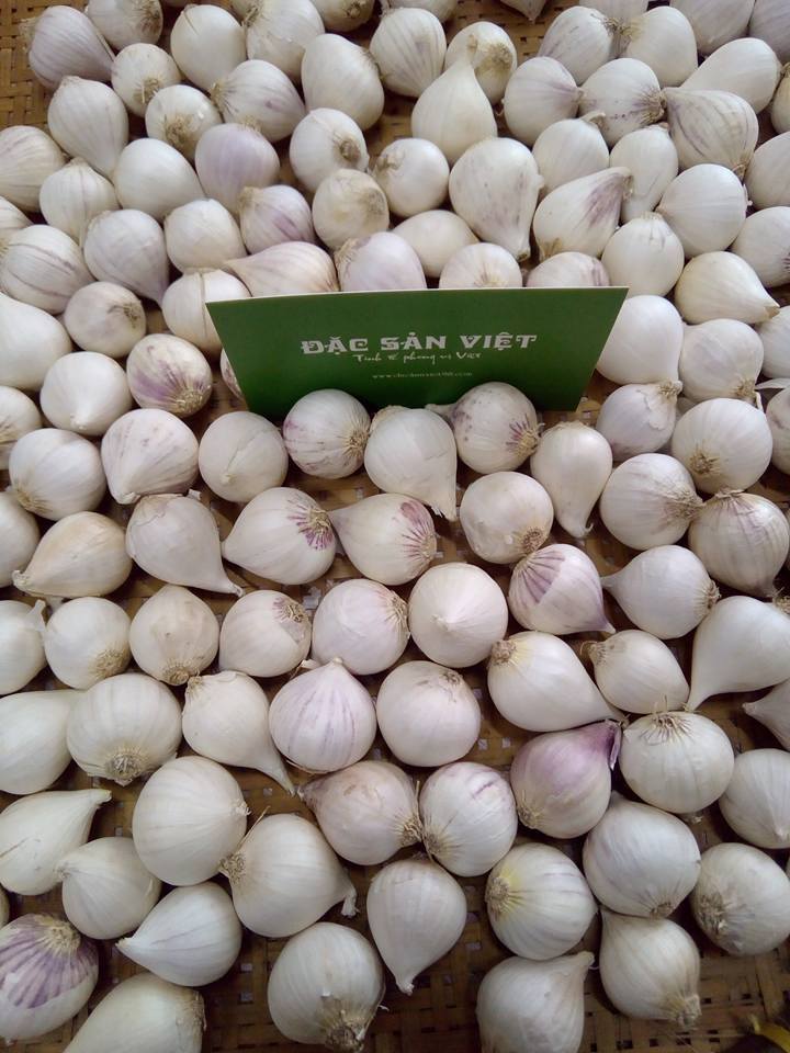 29178434_2091149661108284_9159395423784271872_n