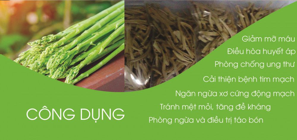 MĂNG TÂY NINH THUẬN