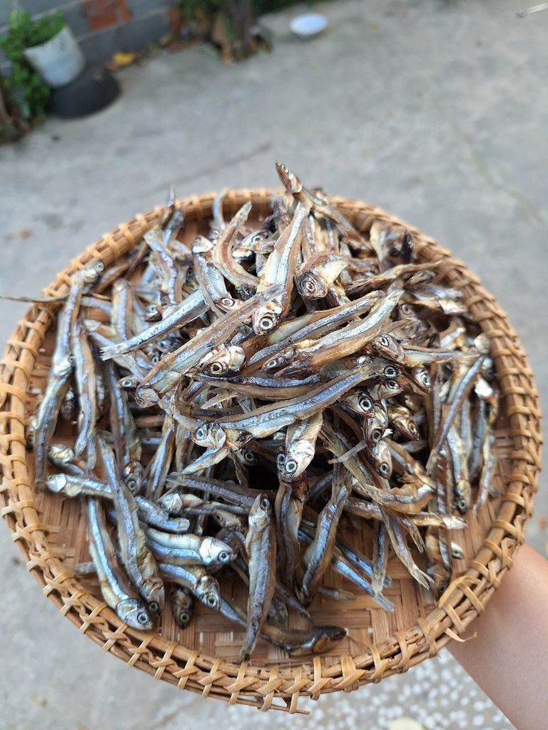 Khô cá cơm biển Ninh Thuận