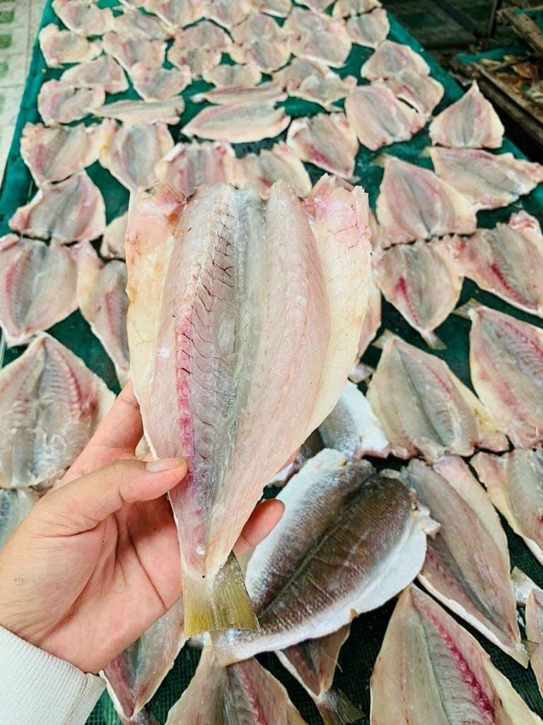 KHÔ CÁ ĐÙ 1 NẮNG PHAN THIẾT