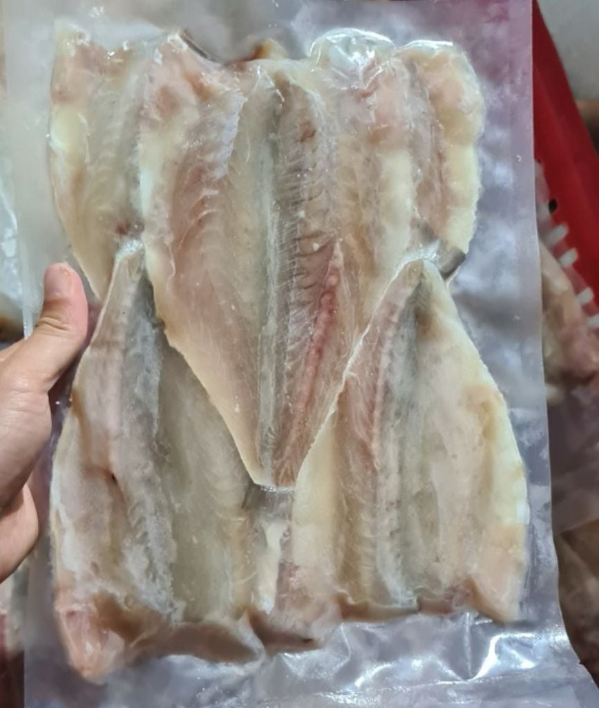 CÁ ĐÙ 1 NẮNG