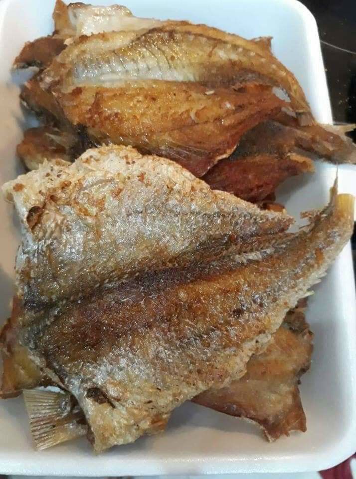 CÁ ĐÙ 1 NẮNG