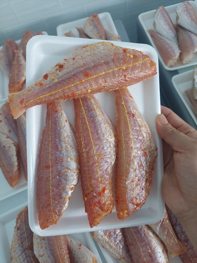 CÁ ĐỔNG 1 NẮNG