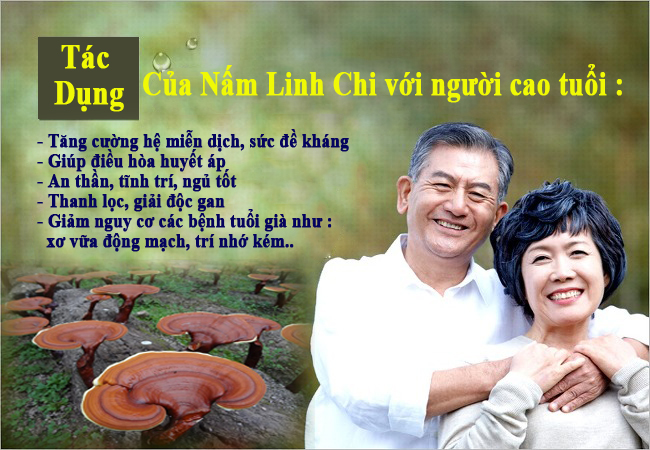 cach-che-bien-nam-linh-chi3