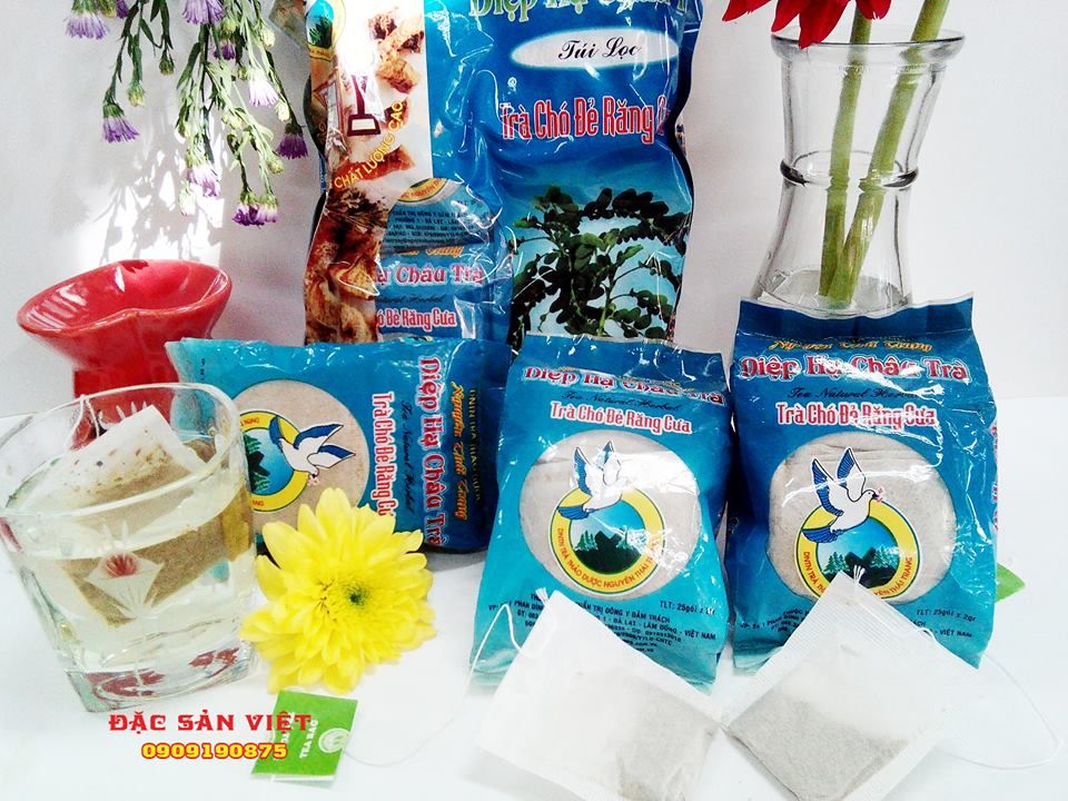 DIỆP HẠ CHÂU túi lọc