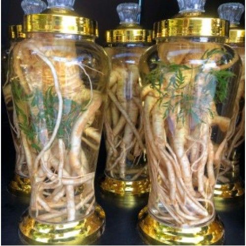 Rượu sâm đinh lăng
