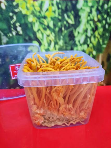 ĐÔNG TRÙNG HẠ THẢO HỮU CƠ