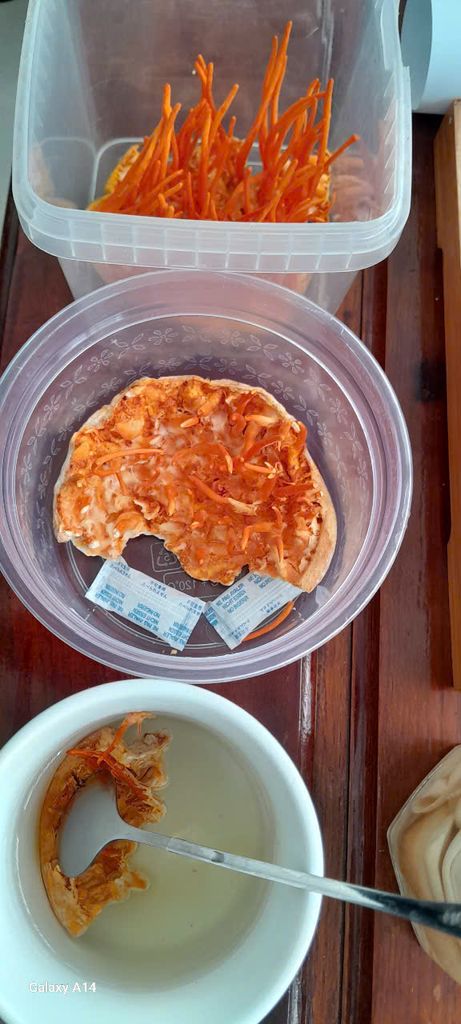 Đông trùng hạ thảo hữu cơ sấy nguyên đế