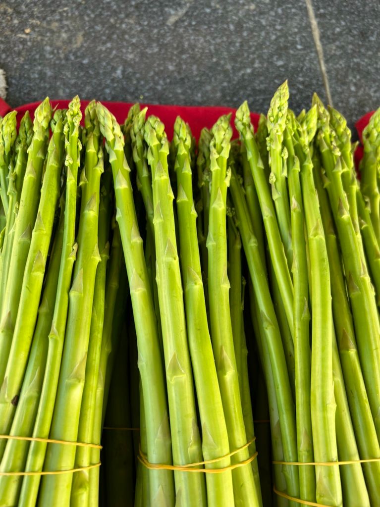 MĂNG TÂY NINH THUẬN