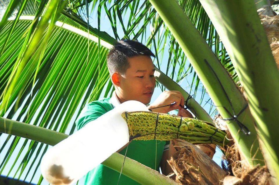 mat hoa dua dac san viet lay mat 2