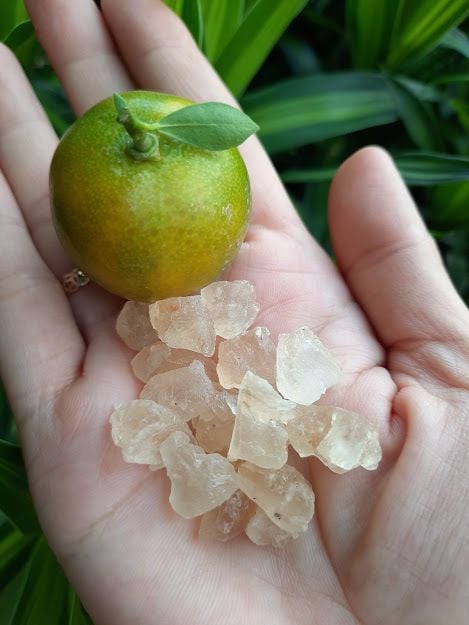 MỦ TRÔM NGUYÊN CHẤT