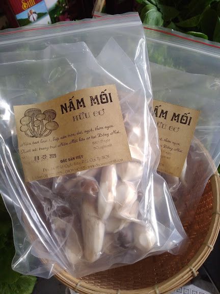 NẤM MỐI HỮU CƠ