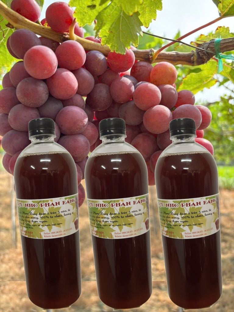 RƯỢU NHO PHAN RANG 5 NĂM