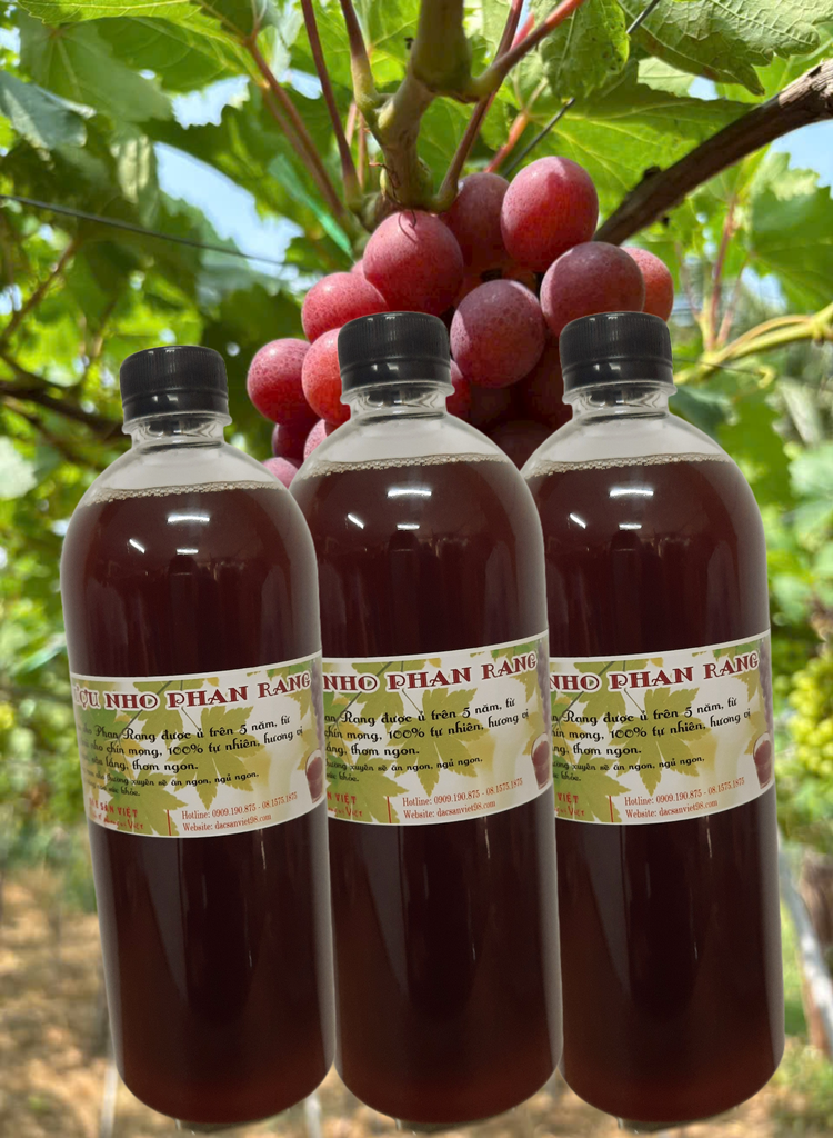 RƯỢU NHO PHAN RANG 5 NĂM