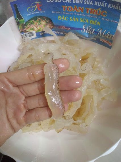 SỨA BIỂN ĂN LIỀN