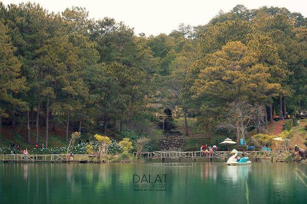 Thung lũng Suối Vàng. Ảnh: Duy Lalang