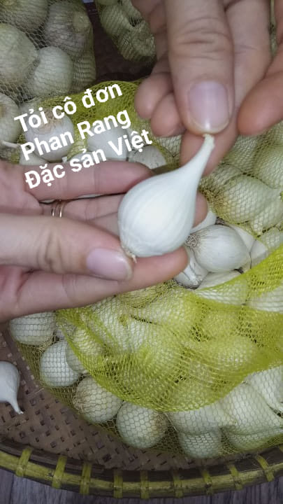 TOI CO DON PHAN RANG 2018
