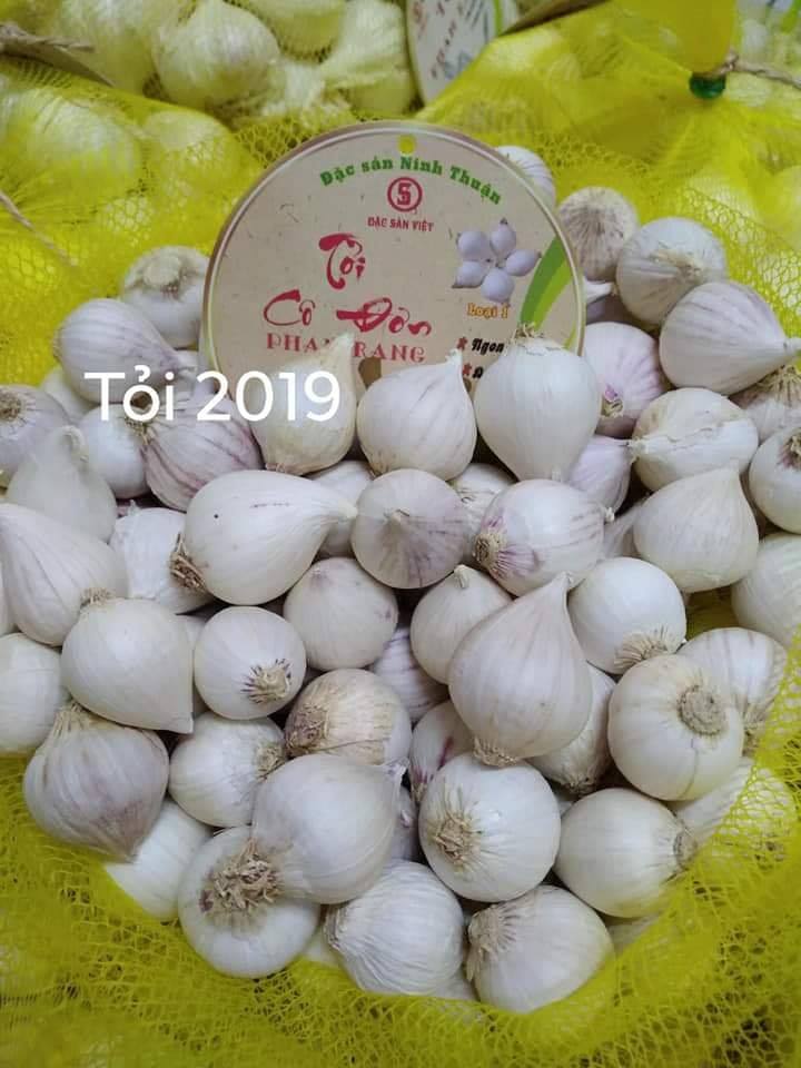 toi co don phan rang dsv 2019 - 1