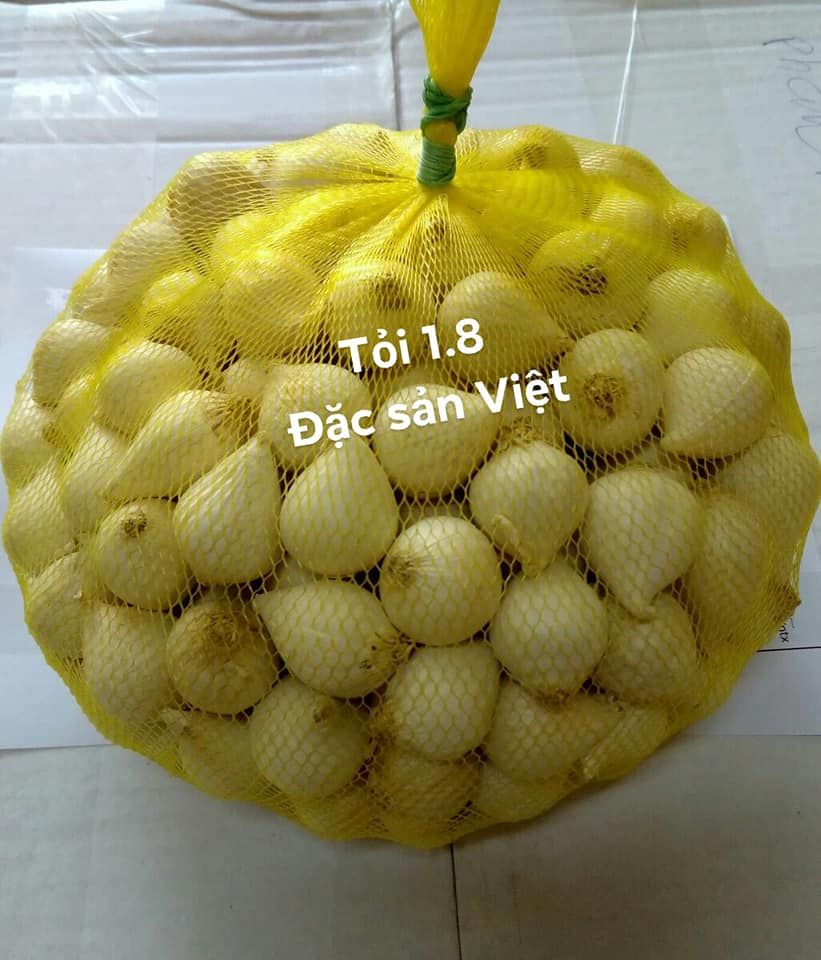 TỎI CÔ ĐƠN PHAN RANG NINH THUẬN LOẠI 1