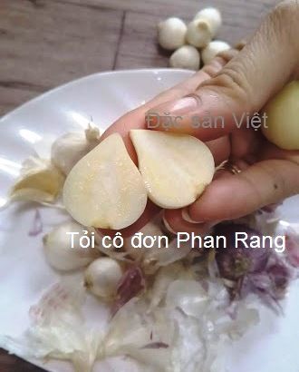 TỎI CÔ ĐƠN PHAN RANG NINH THUẬN LOẠI 1