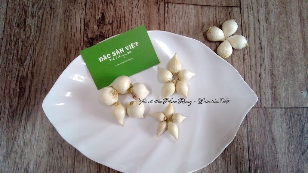 TỎI CÔ ĐƠN PHAN RANG NINH THUẬN LOẠI 1