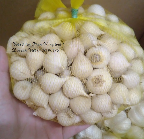 toi co don phan rang thang 10 -18
