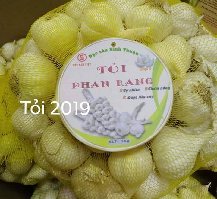 toi phan rang dsv 2019 - 2